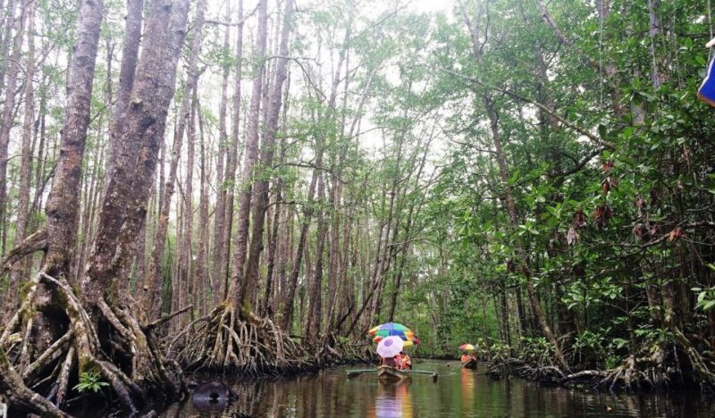 Puerto Princesa: Underground River, Zipline, Paddleboat Tour - Exploring the Underground River