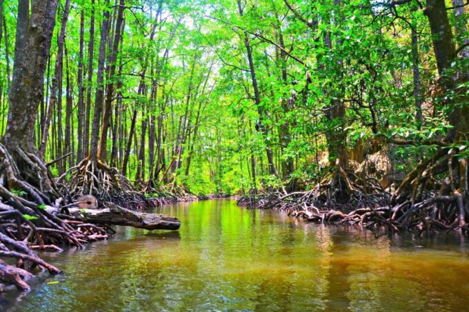 Puerto Princesa: Underground River, Zipline, Paddleboat Tour - Age and Accessibility Restrictions