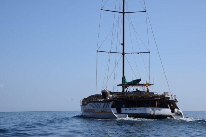 Puerto Rico : 2 Hour Dolphin Catamaran Excursion - Key Points