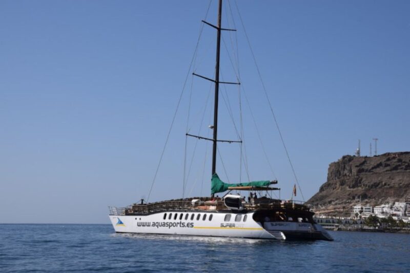 Puerto Rico : 2 Hour Dolphin Catamaran Excursion - Highlights of the Experience