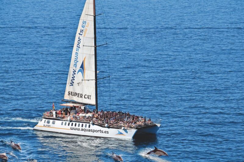 Puerto Rico : 2 Hour Dolphin Catamaran Excursion - Pricing and Inclusions