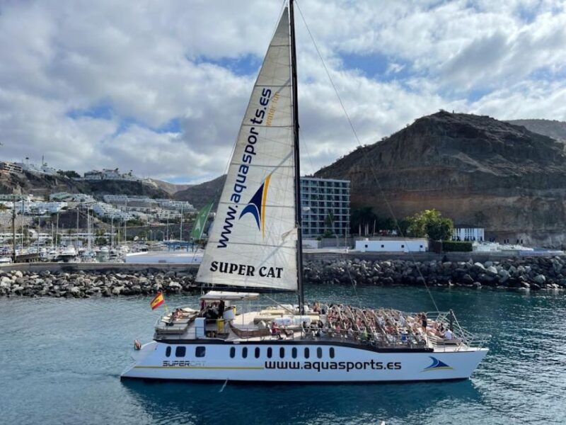 Puerto Rico : 2 Hour Dolphin Catamaran Excursion - Important Considerations