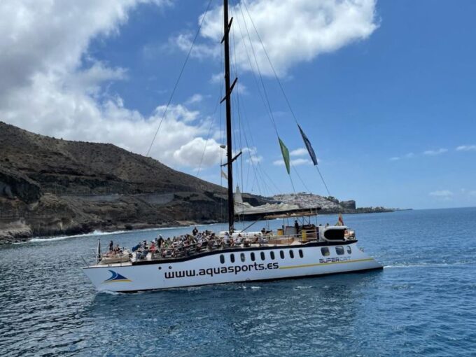 Puerto Rico : 2 Hour Dolphin Catamaran Excursion - Customer Feedback