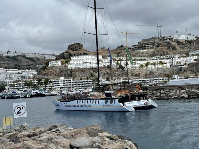Puerto Rico : 2 Hour Dolphin Catamaran Excursion - Frequently Asked Questions