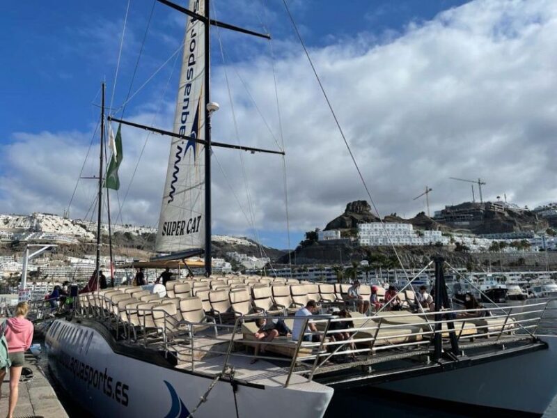 Puerto Rico : 4 H Premium Dolphin Catamaran Tour - Onboard Experiences