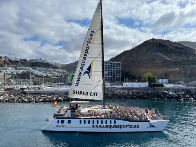 Puerto Rico : 4 H Premium Dolphin Catamaran Tour - Tour Languages and Cautions