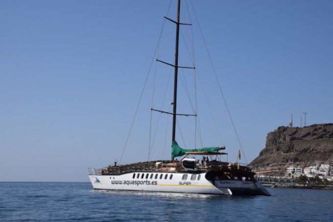 Puerto Rico : 4 H Premium Dolphin Catamaran Tour - Frequently Asked Questions