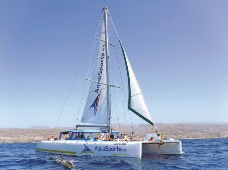 Puerto Rico: 4-Hour Catamaran Excursion in the South - Key Points