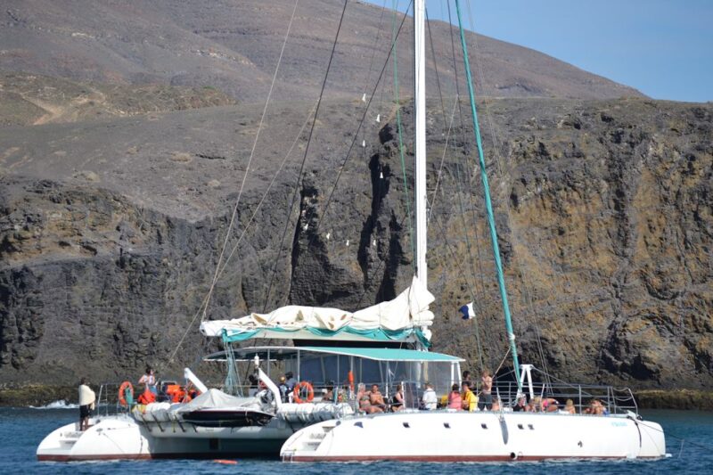 Puerto Rico: 4-Hour Catamaran Excursion in the South - Transportation and Pickup