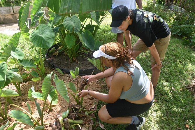 Puerto Rico Agritourism Tour - What to Expect