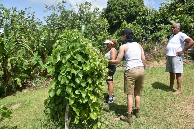 Puerto Rico Agritourism Tour - Highlights of the Tour