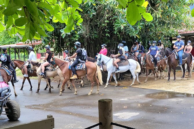 Puerto Rico Beach Horseback Riding Guided Tour - Transportation and Logistics