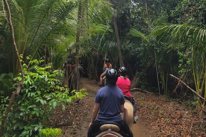 Puerto Rico Beach Horseback Riding Guided Tour - Glowing Customer Reviews