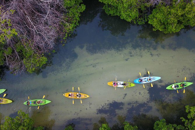 Puerto Rico Bio Bay Kayak Adventure Tour - Group Size, Age, and Physical Considerations
