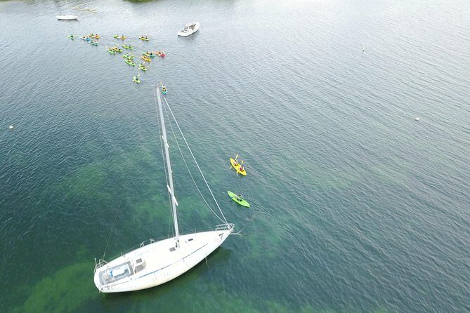 Puerto Rico Bio Bay Kayak Adventure Tour - Timing, Weather, and the Natural Phenomenon