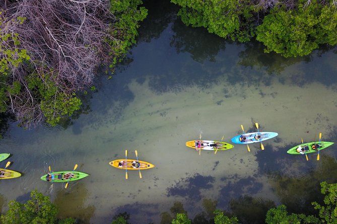 Puerto Rico Bio Bay Kayak Adventure Tour - Participant Requirements and Restrictions