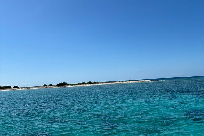 Puerto Rico: Bio Bay Swim and Sunset Charter or Late night tour - Key Points