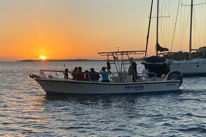 Puerto Rico: Bio Bay Swim and Sunset Charter or Late night tour - Authentic Review Snippets