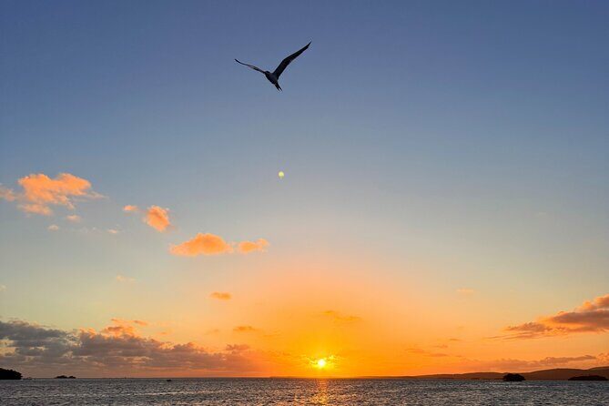 Puerto Rico: Bio Bay Swim and Sunset Charter or Late night tour - FAQ
