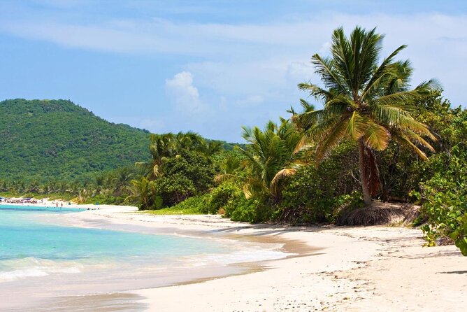 Puerto Rico: Culebra Snorkeling and Flamenco Beach Tour by Ferry - About Your Stay
