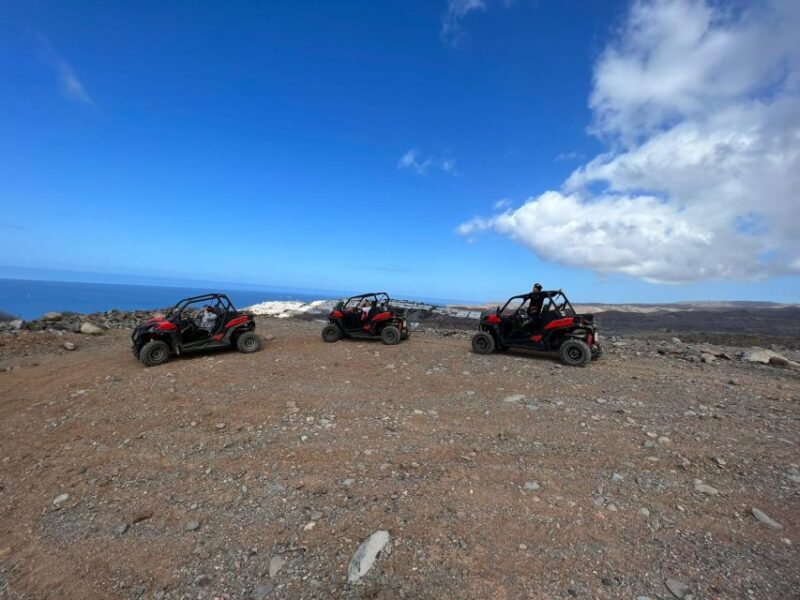 Puerto Rico De Gran Canaria: Dirt Buggy Tour - Wildlife and Terrain Challenges