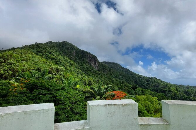 Puerto Rico: El Yunque Sightseeing Half-Day Tour With Transfer - Included Amenities and Logistics