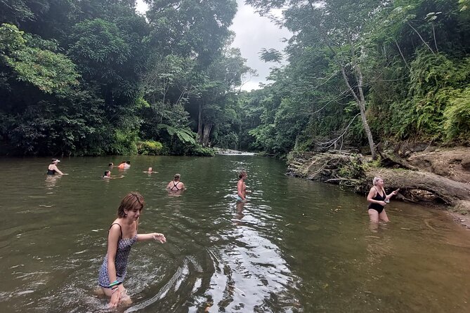Puerto Rico: El Yunque Sightseeing Half-Day Tour With Transfer - Pickup and Transportation Details