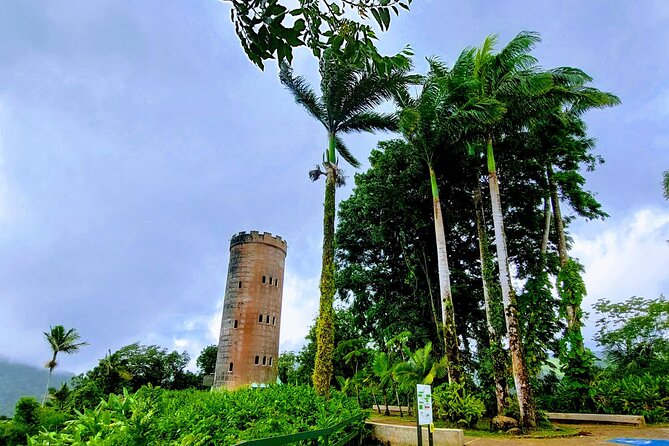Puerto Rico: El Yunque Sightseeing Half-Day Tour With Transfer - Health and Safety Considerations