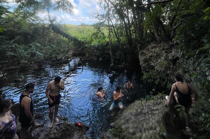 Puerto Rico Hidden Spring Swim and Beach Snorkeling Tour - About Your Stay