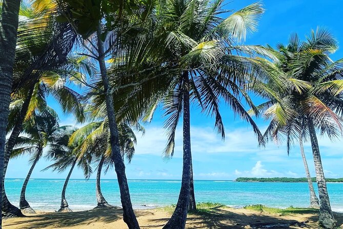 Puerto Rico Hidden Spring Swim and Beach Snorkeling Tour - Tour Highlights