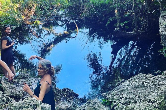 Puerto Rico Hidden Spring Swim and Beach Snorkeling Tour - Meeting Information