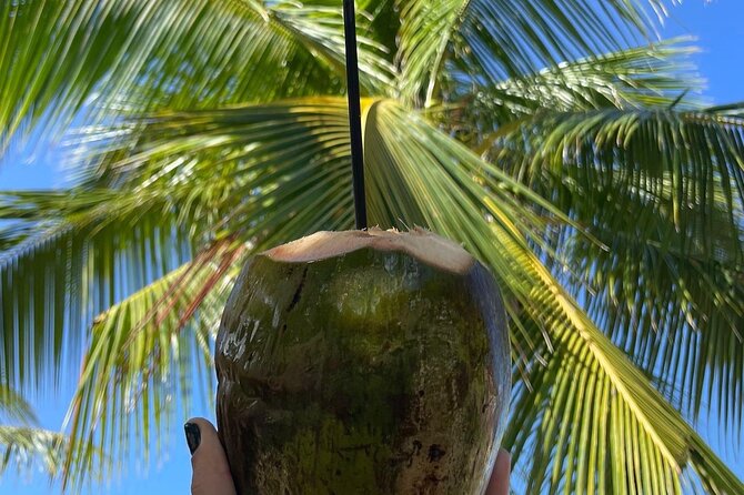 Puerto Rico Hidden Spring Swim and Beach Snorkeling Tour - Health Considerations