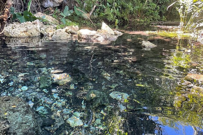 Puerto Rico Hidden Spring Swim and Beach Snorkeling Tour - Visitor Reviews
