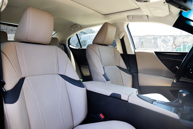 Puerto Rico Island Wide Transfer, Tesla Model X Luxury SUV. - Booking and Cancellation