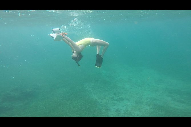 Puerto Rico Jet Snorkel With Turtles and Videos in San Juan - Inclusions and Equipment
