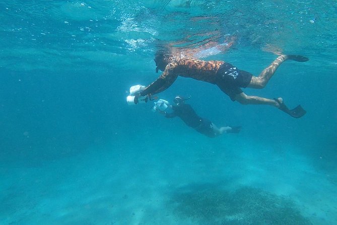 Puerto Rico Jet Snorkel With Turtles and Videos in San Juan - Memorable Nature of Adventure