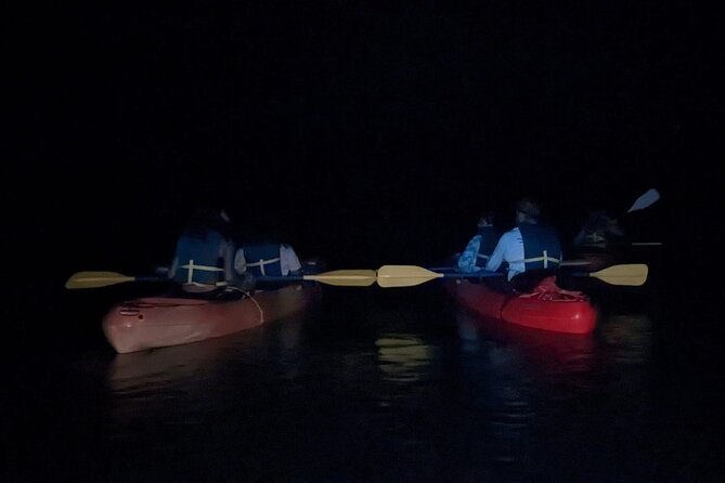 Puerto Rico: Kayaking in Magical Bioluminescent Bay - Hosts Response