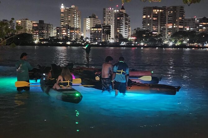 Puerto Rico Night Kayaking Guided Tour in Condado Lagoon - Wildlife and Conservation