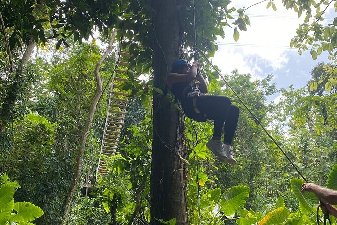 Puerto Rico Rainforest Adventure Trail Trio - Booking Your Stay
