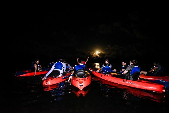 Puerto Rico Sunset Magic: Bio Bay Kayaking Tour from Fajardo - Key Points