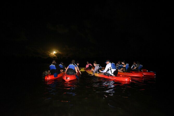 Puerto Rico Sunset Magic: Bio Bay Kayaking Tour from Fajardo - Who Will Love This Tour?