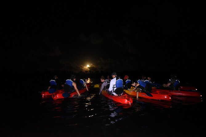 Puerto Rico Sunset Magic: Bio Bay Kayaking Tour From Fajardo - Suitable for All Skill Levels