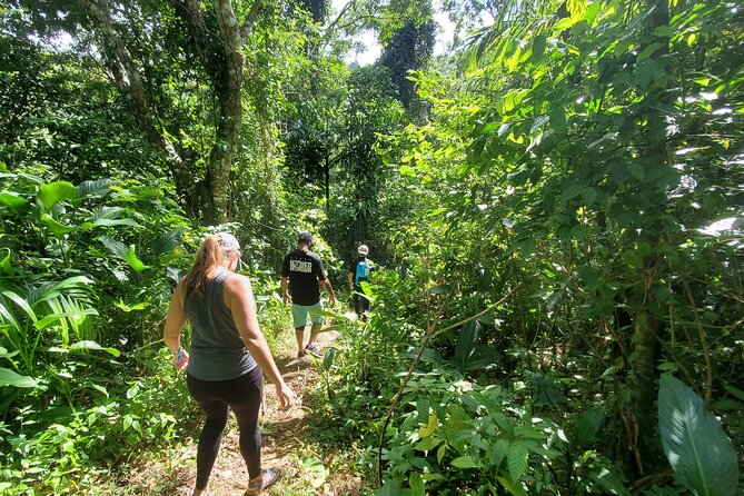 Puerto Rico Tour to El Yunque Rainforest Hiking to Waterfall - Physical Requirements