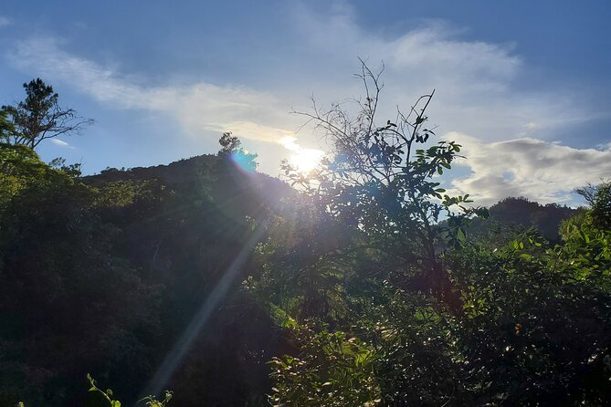 Puerto Rico Tour to El Yunque Rainforest Hiking to Waterfall - Local Engagement and Stops