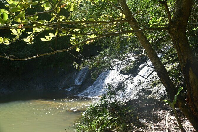 Puerto Rico Waterfall Hiking Tour: Discover Hidden Gems 2.0 - An In-Depth Look at the Tour Experience