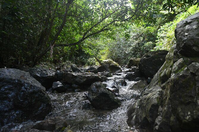 Puerto Rico Waterfall Hiking Tour: Discover Hidden Gems 2.0 - Final Thoughts