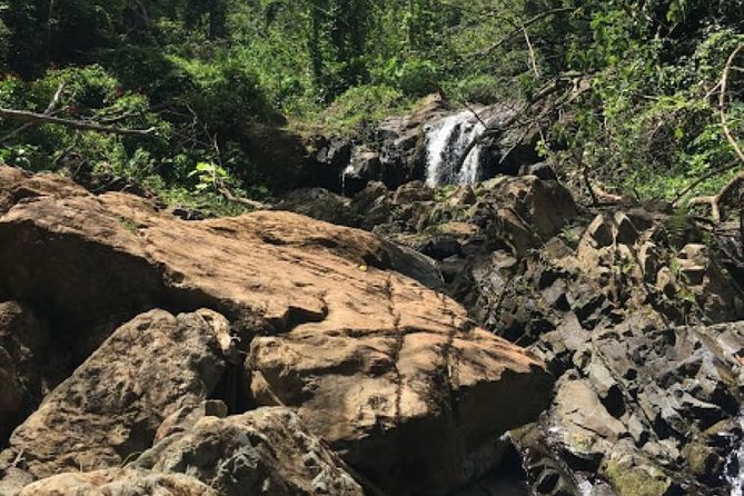 Puerto Rico Waterfall Hiking Tour: Discover Hidden Gems - Tour Guides and Customer Experience