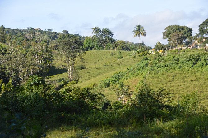 Puerto Rico Waterfall Hiking Tour: Discover Hidden Gems - Footwear Recommendations