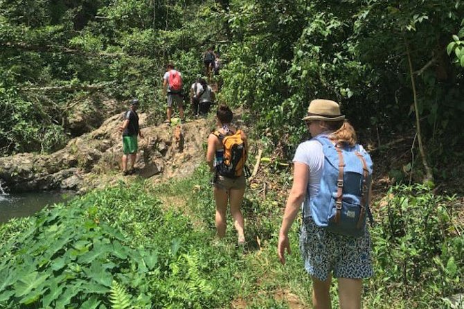 Puerto Rico Waterfall Hiking Tour: Discover Hidden Gems - Adventurous Travelers