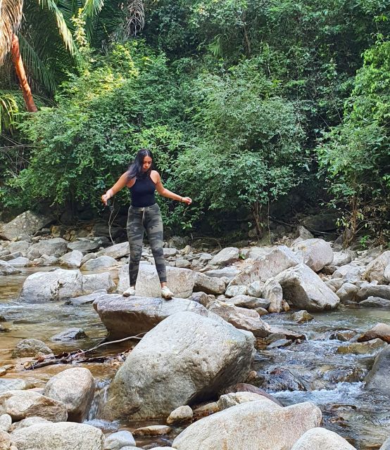 Puerto Vallarta: 4-Hour Jungle Hike and Waterfall Swim - Inclusions and Requirements